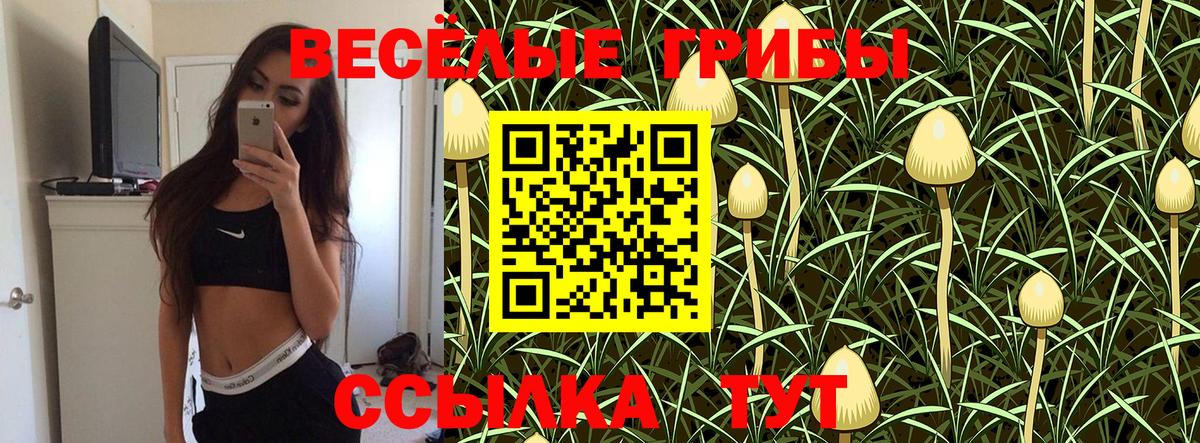 Псилоцибиновые грибы Cubensis Удомля