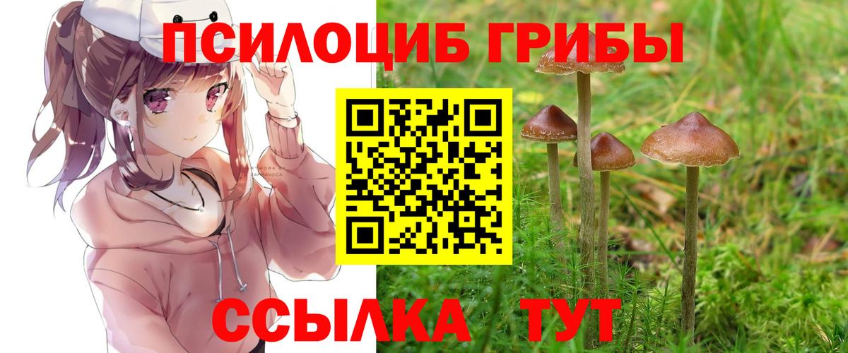 Псилоцибиновые грибы мухоморы  Вход с VPN  Удомля 